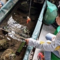 【台北景點】五股準園休閒生態農場-可以餵小動物、釣小龍蝦、看動物的好玩親子景點