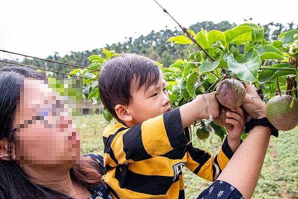 【日月潭一日遊】南投頭社活盆地農村美食餐桌與休閒農場-體驗不一樣的在地食材美味佳餚與獨特河道獨木舟體驗