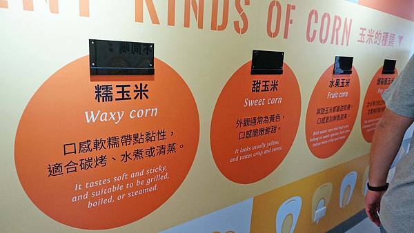 【台北景點】卡滋爆米花觀光工廠樂園-台灣第一家爆米花觀光工廠，好吃又好玩還有DIY活動