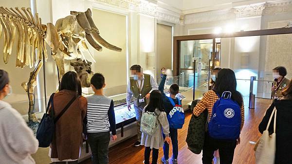 【台北景點】國立臺灣博物館-親子旅遊必玩！坐捷運也能到的室內親子景點一日遊行程