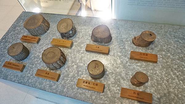 【台北景點】國立臺灣博物館-親子旅遊必玩！坐捷運也能到的室內親子景點一日遊行程