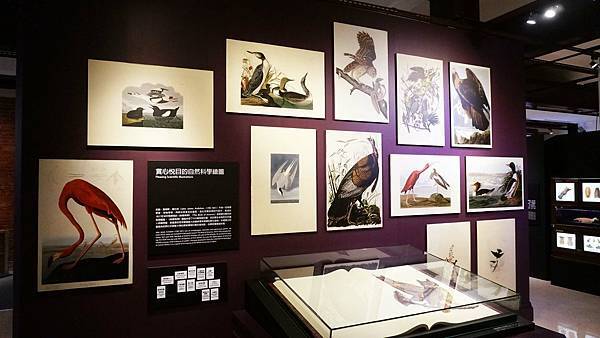 【台北景點】國立臺灣博物館-親子旅遊必玩！坐捷運也能到的室內親子景點一日遊行程