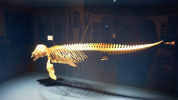 【台北景點】國立臺灣博物館-親子旅遊必玩！坐捷運也能到的室內親子景點一日遊行程