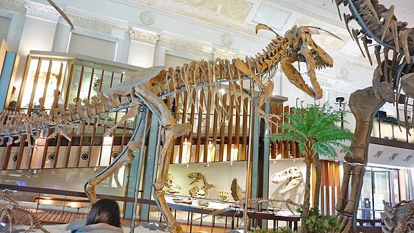 【台北景點】國立臺灣博物館-親子旅遊必玩！坐捷運也能到的室內親子景點一日遊行程