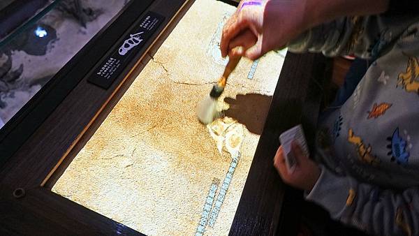 【台北景點】國立臺灣博物館-親子旅遊必玩！坐捷運也能到的室內親子景點一日遊行程