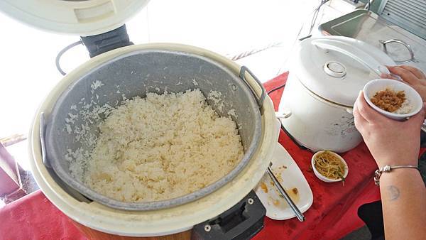 【苗栗景點】台灣水牛城-CP值爆表！烤肉吃到飽2.5小時只要280元！還可以免費觀賞動物、坐小火車，親子必玩景點！