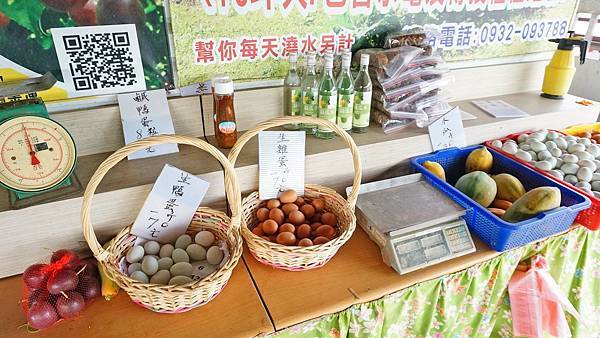 【桃園景點】陽榮休閒農場-好玩的釣魚、釣小龍蝦及餵食動物的趣味農場