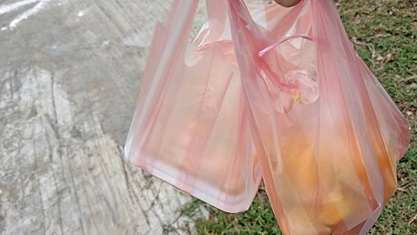 【桃園景點】陽榮休閒農場-好玩的釣魚、釣小龍蝦及餵食動物的趣味農場