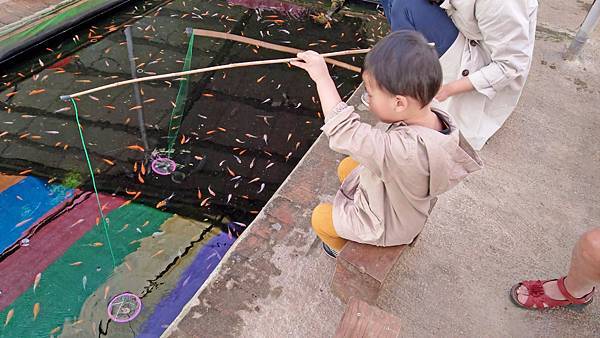 【桃園景點】陽榮休閒農場-好玩的釣魚、釣小龍蝦及餵食動物的趣味農場