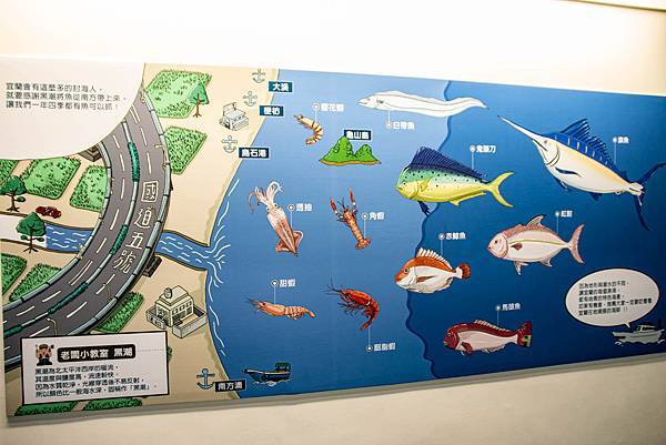 【宜蘭景點】溪和水產觀光工廠-2021年全新開幕！好玩又有趣的漫畫式簡介，多種免費海鮮試吃，飯糰ＤＩＹ與現煮海鮮ＤＩＹ活動玩不膩，美味多種魚料理，門票全抵消費的必玩室內景點