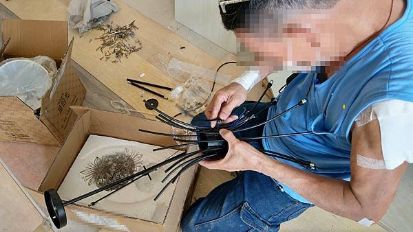 淘寶運送費省一半！最快五天收到，卻只要空運一半的價格！海快普貨每公斤只要8.5元起！淘寶集貨運送費省錢小撇步，傢俱海運更划算！推薦台信達淘寶集貨商