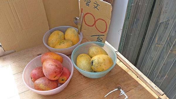 【中和飲料店】菓研-只要35元就能喝到珍珠鮮奶茶！絕無僅有的銅板價