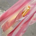 【中和美食】上好10元碳烤-1串只要10元！隱身在熱鬧街道旁的美味碳烤店