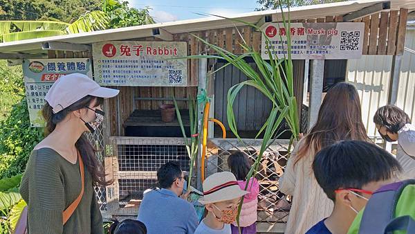 【桃園景點】花鹿秘境-150元門票不限時間釣蝦、餵魚、餵食及觀賞可愛的水豚與山羊、花鹿和小豬