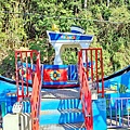 【桃園景點】花開了休閒農場-免門票免停車費，有如小小兒童樂園般的親子景點
