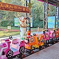 【桃園景點】花開了休閒農場-免門票免停車費，有如小小兒童樂園般的親子景點