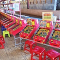 【桃園景點】花開了休閒農場-免門票免停車費，有如小小兒童樂園般的親子景點