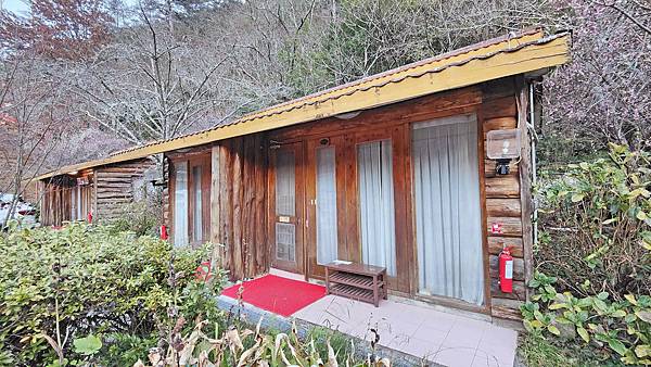 2022武陵賓館-武陵農場裡必住的旅館之一！美味的小木屋與夜景，還有早餐和晚餐完整介紹
