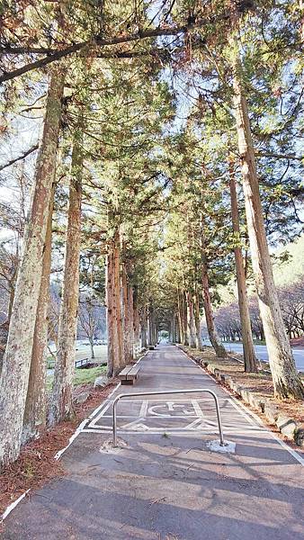 2022武陵農場！詳細的地圖、必拍景點、必玩的特色、賞花地點、門票價格、住宿資訊、導覽、接駁車、客運班次資料完整介紹