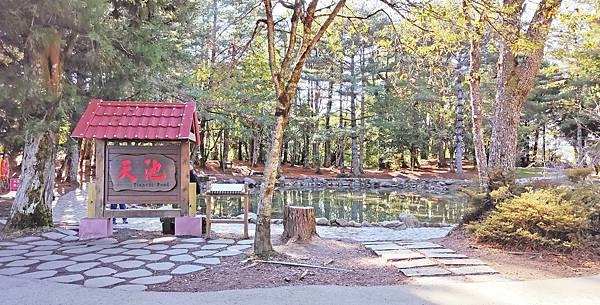 2022福壽山農場天池-有如人間仙境的美麗，隱藏在山頂上的湖泊，千里難尋的美景