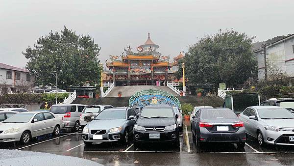 2022淡水天元宮櫻花最新現況！櫻花樹量、分佈，盛開情況，一次完整介紹～還有附影片