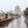 2022淡水天元宮櫻花最新現況！櫻花樹量、分佈，盛開情況，一次完整介紹～還有附影片
