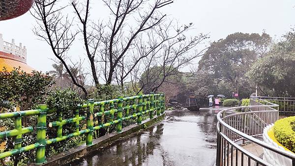 2022淡水天元宮櫻花最新現況！櫻花樹量、分佈，盛開情況，一次完整介紹～還有附影片