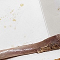 【板橋美食】葉家藥燉排骨-超強實力！不論是魯肉飯還是藥燉排骨味道都是一絕！
