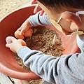【彰化景點】正實親子農場-免門票免飼料費，還可以抱雞撿雞蛋餵鵝超多親子活動都不用錢哦！