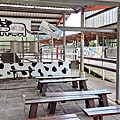 【彰化景點】大山休閒牧場-免門票費免停車費，還有其它餵牛喝奶、吃草等超多好玩的親子農場