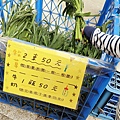 【彰化景點】大山休閒牧場-免門票費免停車費，還有餵牛喝奶、吃草等超多好玩的親子農場