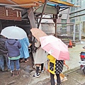 【中和美食】立德街無名排隊美食-就算是下雨天也大排長龍的隱藏版美食小吃店
