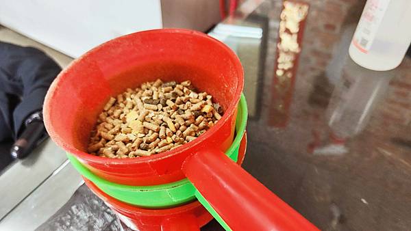 【宜蘭景點】宜蘭農夫青蔥體驗農場-蔥油餅DIY親子農場，還可以零距離無柵欄餵食可愛的小動物