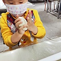 【宜蘭景點】宜蘭農夫青蔥體驗農場-蔥油餅DIY親子農場，還可以零距離無柵欄餵食可愛的小動物