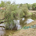 台南親子一日遊-永通虱目魚粥、德元埤荷蘭村、六甲媽祖廟剉冰、蘭都觀光工廠、玉梅鮮乳包子饅頭、柳營八老爺牧場