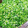 老麵酵匠包子饅頭