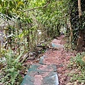 牛伯伯蝴蝶生態園
