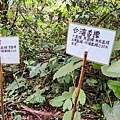 牛伯伯蝴蝶生態園