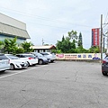 臺灣番鴨牧場大江店