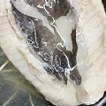台南虱目魚粥