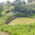 文山森林公園趣探險之丘