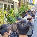 林聰明沙鍋魚頭