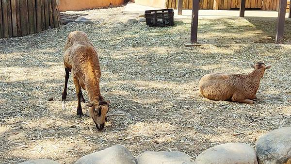 新竹動物園