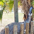 新竹動物園