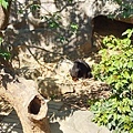 新竹動物園