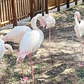 新竹動物園