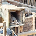 新竹動物園
