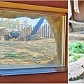 【新竹景點】新竹動物園｜新竹必玩！門票只要５０元的親子景點