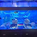 EVB 馬來西亞風味蔬食餐酒館-1.jpg