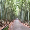泰安一日遊